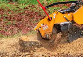 Seasonal Cleanup (Spring/Fall) in Arlington, NY