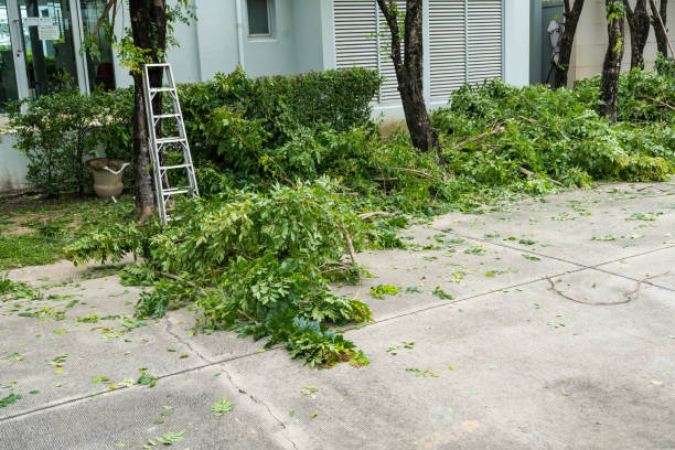 Best Organic Lawn Care Solutions  in Arlington, NY